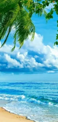 This live phone wallpaper will transform your screen into a peaceful beach scene, complete with palm trees and a blue ocean that create a romantic and dreamy ambiance