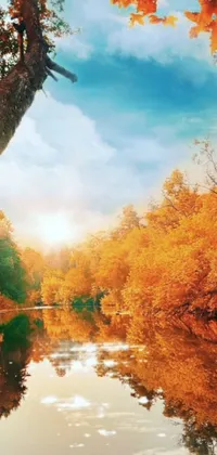 This phone live wallpaper showcases a beautiful and serene autumn landscape