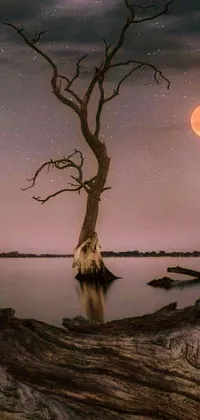 Feast your eyes on this captivating live wallpaper featuring a majestic tree standing tall in the middle of a serene lake, under a full moon against a starry night sky
