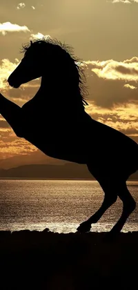 This phone live wallpaper features a stunning silhouette of a horse standing on its hind legs with intricate arabesque patterns