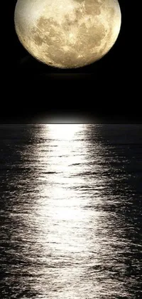 This phone live wallpaper depicts a mesmerizing scene of a full moon rising over a body of water