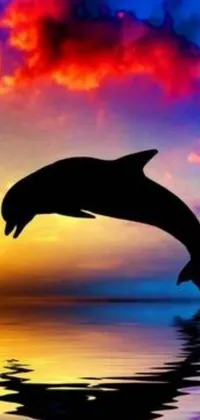 This live wallpaper features a breathtaking scene of a dolphin jumping out of the water during sunset
