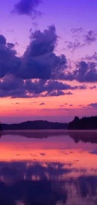 This live wallpaper showcases a picturesque scene of nature featuring a large body of water next to a lush forest in New Hampshire