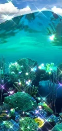 This phone live wallpaper displays the breathtaking beauty of the underwater world