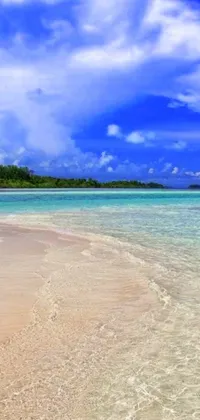 This phone live wallpaper showcases a stunning tropical beach scenery with crystal clear blue water and a sandy beach