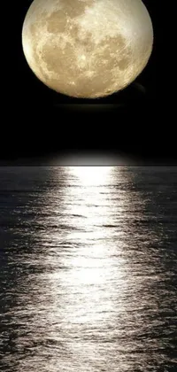 This mobile live wallpaper features a breathtaking scene of a rising full moon above a body of water