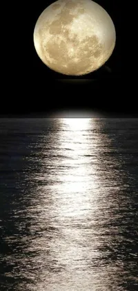 This mesmerizing phone live wallpaper showcases a full silver moon rising over a tranquil body of water