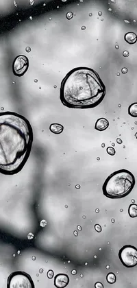 This live phone wallpaper showcases a black and white photo of water droplets, detailed through a modern 2010s camera