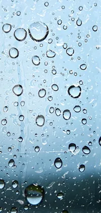 Nature Water Drop Live Wallpaper