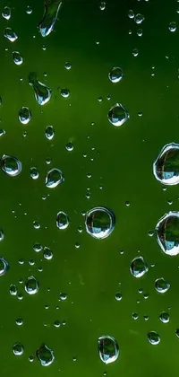 This captivating live wallpaper for your phone features a close-up of a window adorned with water droplets