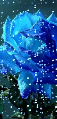 This phone live wallpaper features a beautiful blue rose with droplets, glitter gifs, and snowfall