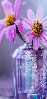 This stunning live wallpaper features two purple flowers in a delightful glass vase on a table