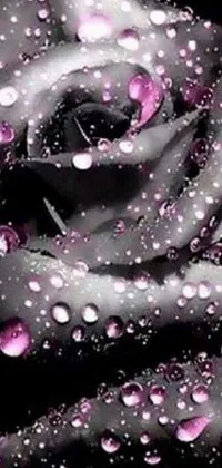 This phone live wallpaper features a mesmerizing magenta and gray close-up of a crystal and diamond encrusted rose with water droplets