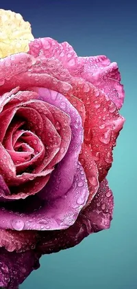 This phone live wallpaper features a stunning photorealistic painting of a red rose with water droplets on it