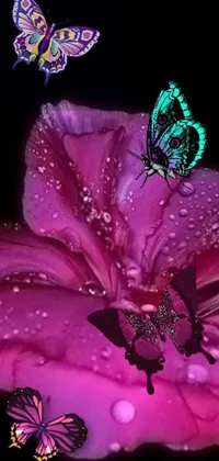 Looking for an enchanting live wallpaper that captures the beauty of nature and fantasy? This phone wallpaper features a stunning photo of a flower with a butterfly resting on it, set against magenta lighting for a romantic vibe