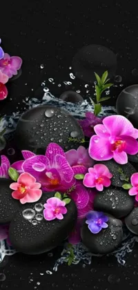 This phone live wallpaper showcases a serene image featuring black stones embellished with pink and purple flowers