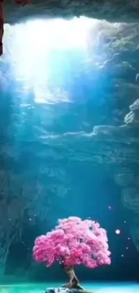 This live wallpaper showcases a stunning tree in the midst of a peaceful body of water, inside a mystical cave