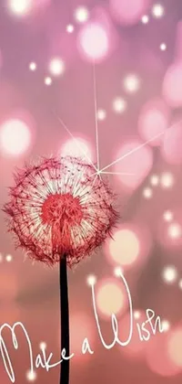 This phone live wallpaper features a dandelion with the phrase "make a wish" written on it, set against a pink background