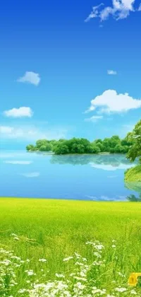 Looking for a phone wallpaper that captures the beauty of nature? Look no further than this digital art creation featuring a vibrant greenfield, colorful flowers, a serene lake, and clear blue sky