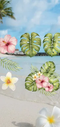 Transport yourself to a tranquil tropical paradise with a stunning live wallpaper for your phone