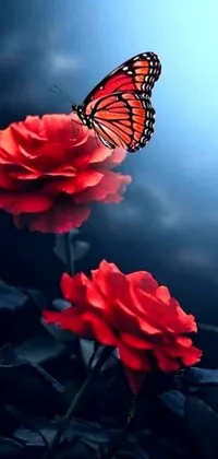 This phone live wallpaper showcases a delicate butterfly resting on top of a red rose amidst changing seasons (spring, summer, fall, winter), providing an ever-changing background with vibrant blooms