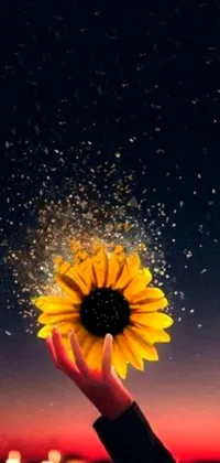 This live phone wallpaper showcases a stunning digital art design featuring a person holding a summery sunflower