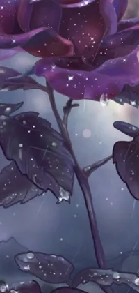 Experience the captivating beauty of a purple rose in the rain with this stunning digital art live wallpaper