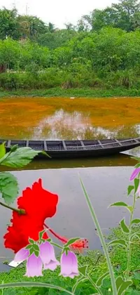 This live wallpaper showcases a peaceful river scene featuring a boat resting in the calm waters, surrounded by a lush green field and colorful flowers in the foreground