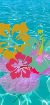 This stunning live wallpaper for your phone showcases a magnificent hibiscus flower gently floating in a serene pool of water
