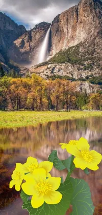 This phone live wallpaper features vibrant yellow flowers against a cascading waterfall at Yosemite National Park