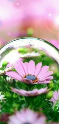 This phone live wallpaper features a glass ball on a lush green field of flowers with bubbles, crystalline reflections, and sparkles inside the sphere