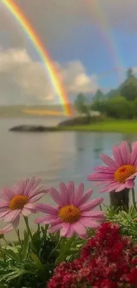 Enjoy the colorful beauty of a rainbow over a serene body of water with this live phone wallpaper