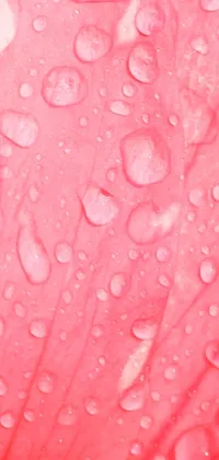 This stunning live wallpaper features a photorealistic close-up shot of a vibrant flower, adorned with water droplets for added freshness
