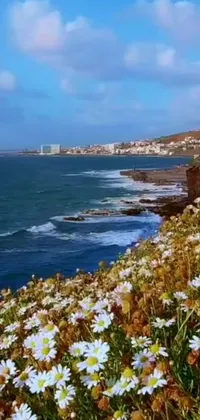 Transform your mobile phone wallpaper into a serene natural marvel with themes ranging from blooming field flowers next to a refreshing water body, picturesque Moroccan city live setting, mesmerizing YouTube video stills, scenic South African oceanic floors with the vast expanse of the calming blue ocean, to a calming galaxy with glistening stars