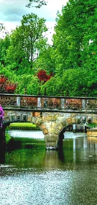 Decorate your phone screen with a breathtaking live wallpaper of a bright and splendid river flowing through the green park beside a stunning stone bridge and the abundance of flowers that lend the view artistic and romantic allure