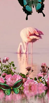 This stunning phone live wallpaper features a pink flamingo sitting on a tranquil body of water
