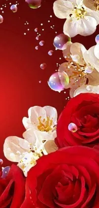 Looking for a stunning phone wallpaper? Look no further than this breathtaking design! Featuring a beautiful composition of red roses and bubbles on a radiant red backdrop, this wallpaper is a feast for the eyes