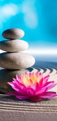 This stunning phone live wallpaper features a beautiful pink flower gently resting atop a stack of rocks