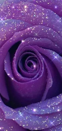Looking for a stunning live wallpaper for your phone? Look no further than this beautiful close-up shot of a purple rose with sparkling details