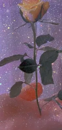 This live wallpaper depicts a red rose in a glass bowl with a hologram effect adding shimmer and movement