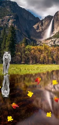 This phone wallpaper portrays a dog standing in water at Central California