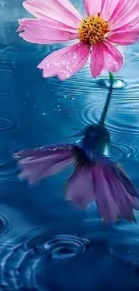 This live phone wallpaper features a beautiful pink flower sitting atop a reflective blue puddle