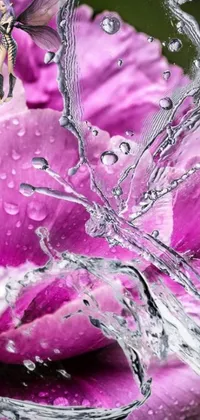 This live wallpaper features a close up of a pink flower covered in water droplets