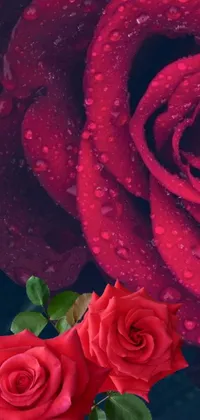 Enhance your phone's display with this gorgeous live wallpaper featuring two stunning red roses covered in water droplets
