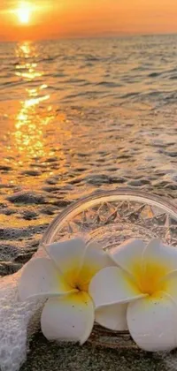 This live phone wallpaper features a stunning scene of two white flowers resting on a sandy beach during a sunset