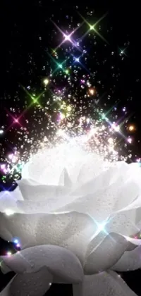 This phone live wallpaper features a gorgeous white rose and sparkling stars against a rainbow nimbus background
