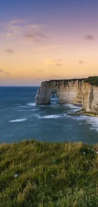 This phone live wallpaper features a breathtaking scene of a massive body of water adjacent to a towering cliff in Normandy