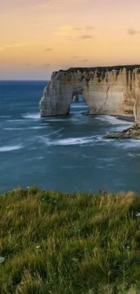 This phone live wallpaper features a breathtaking image of a serene body of water beside a cliff with a massive arch as the foreground