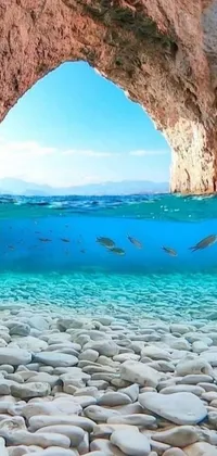 Experience the wonders of nature with this stunning live wallpaper featuring swimming fish in a serene body of water surrounded by immaculate white stone arches