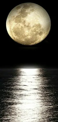 Enjoy the breathtaking sight of a full moon rising over a serene body of water on your phone background